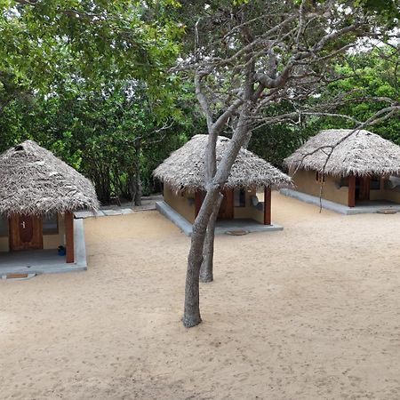 Peanut Farm Surf And Wild Resort - Arugambay Arugam Bay Kültér fotó