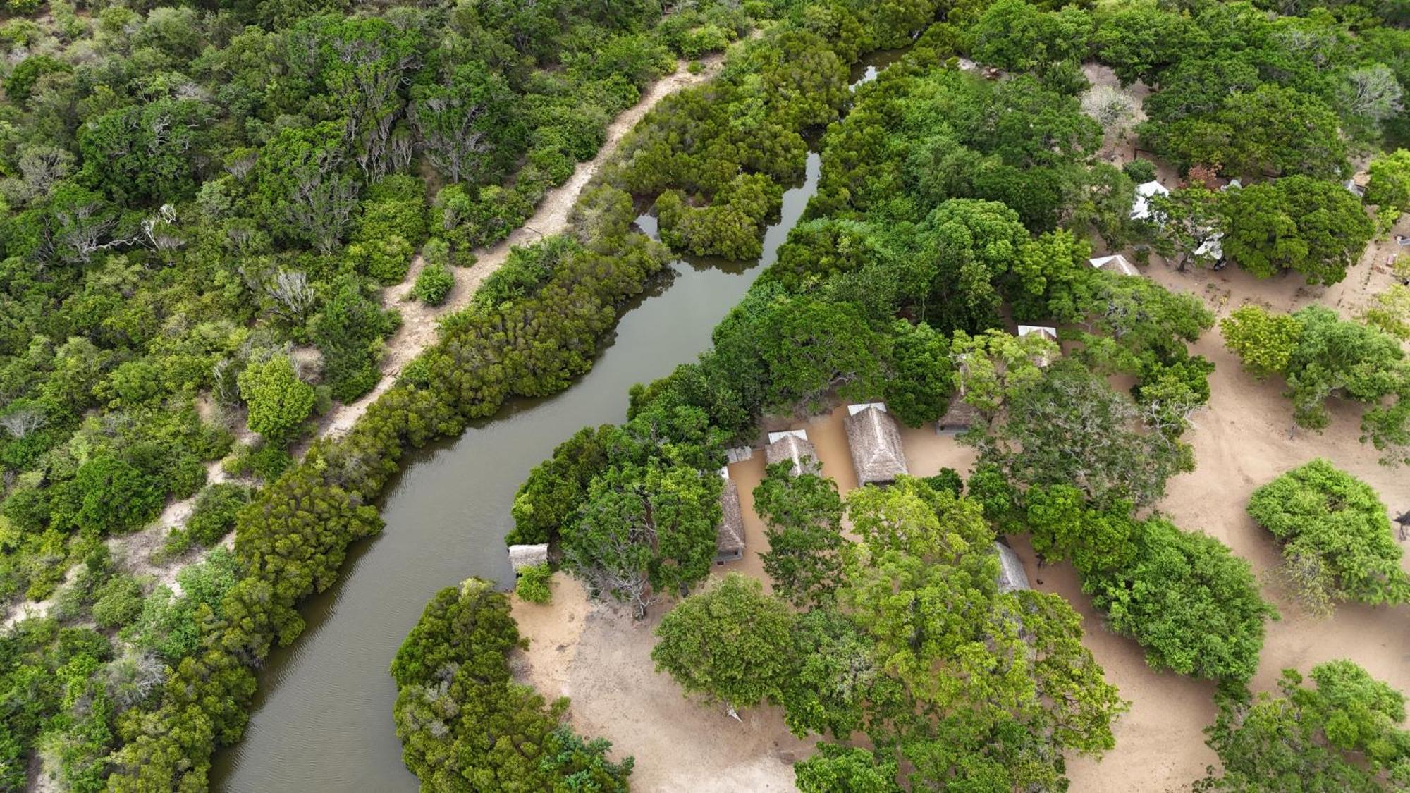 Peanut Farm Surf And Wild Resort - Arugambay Arugam Bay Kültér fotó
