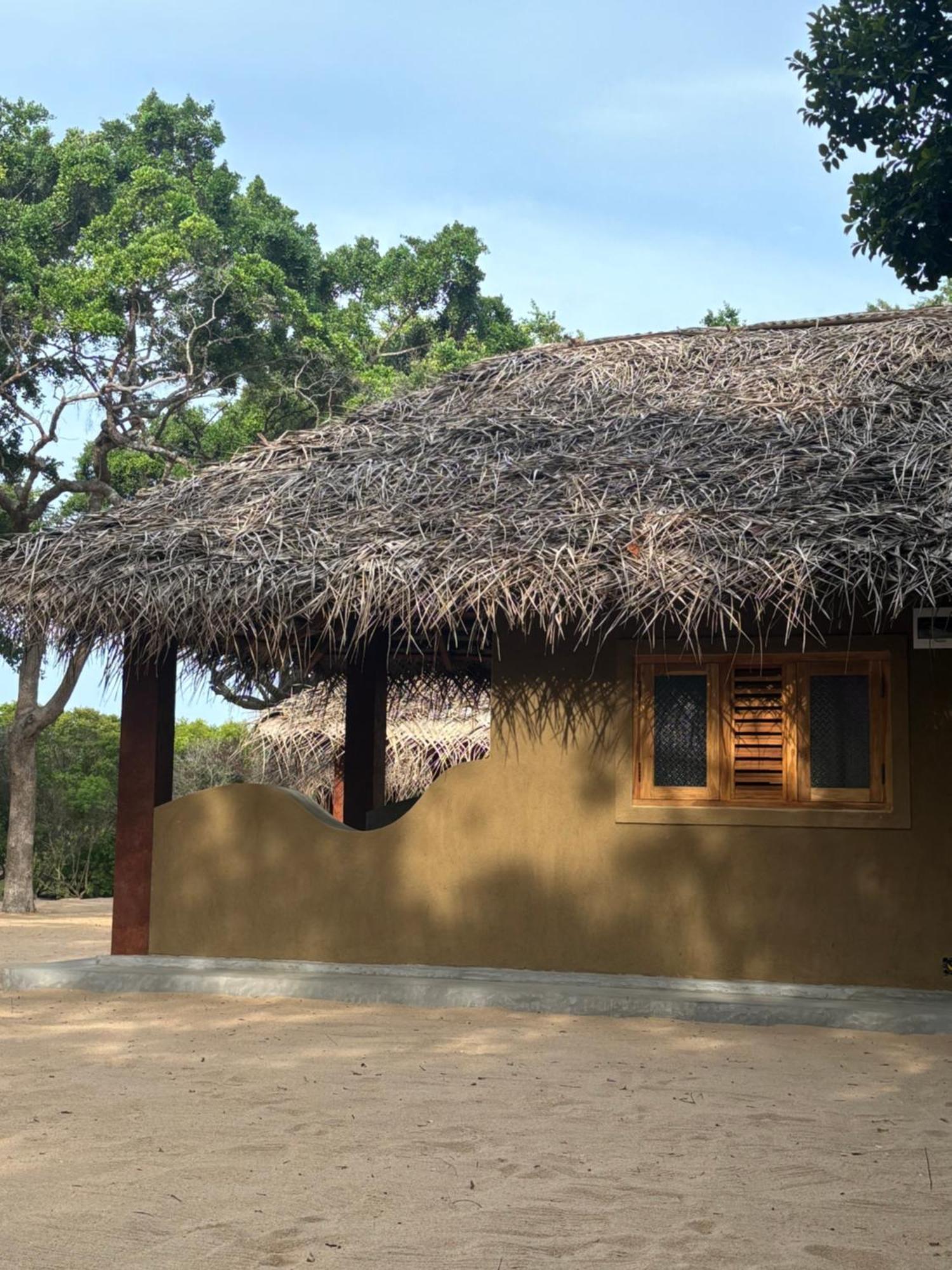 Peanut Farm Surf And Wild Resort - Arugambay Arugam Bay Kültér fotó