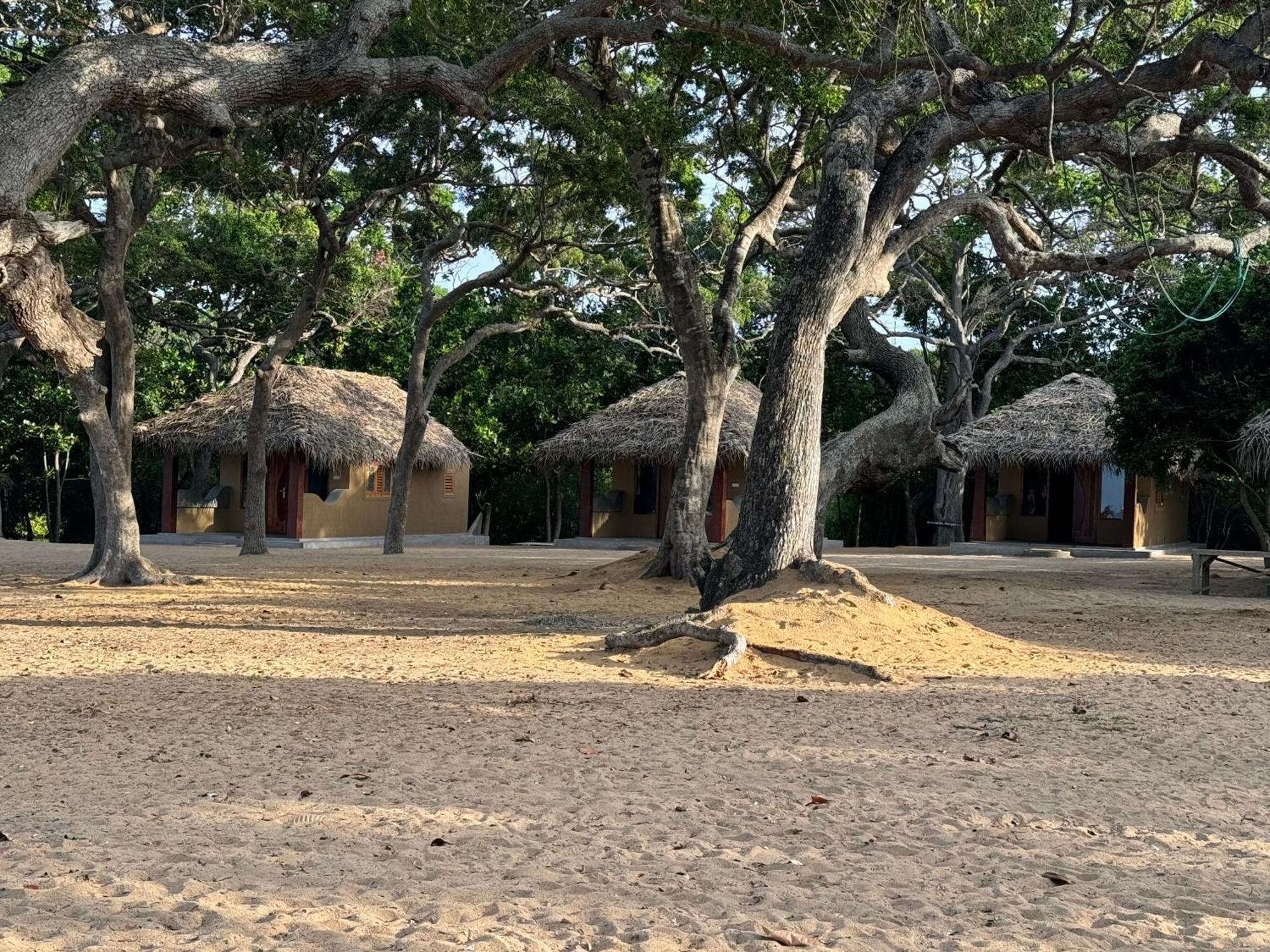 Peanut Farm Surf And Wild Resort - Arugambay Arugam Bay Kültér fotó