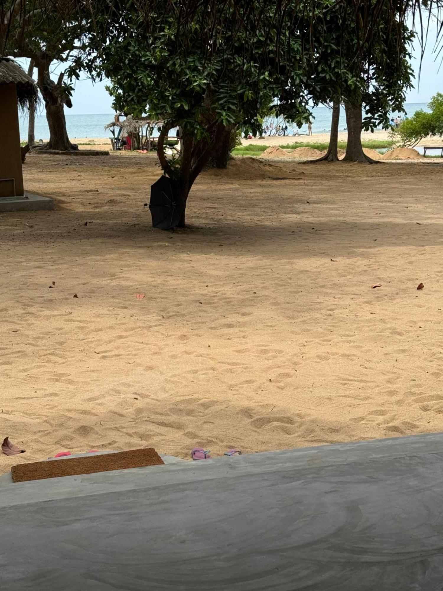 Peanut Farm Surf And Wild Resort - Arugambay Arugam Bay Kültér fotó