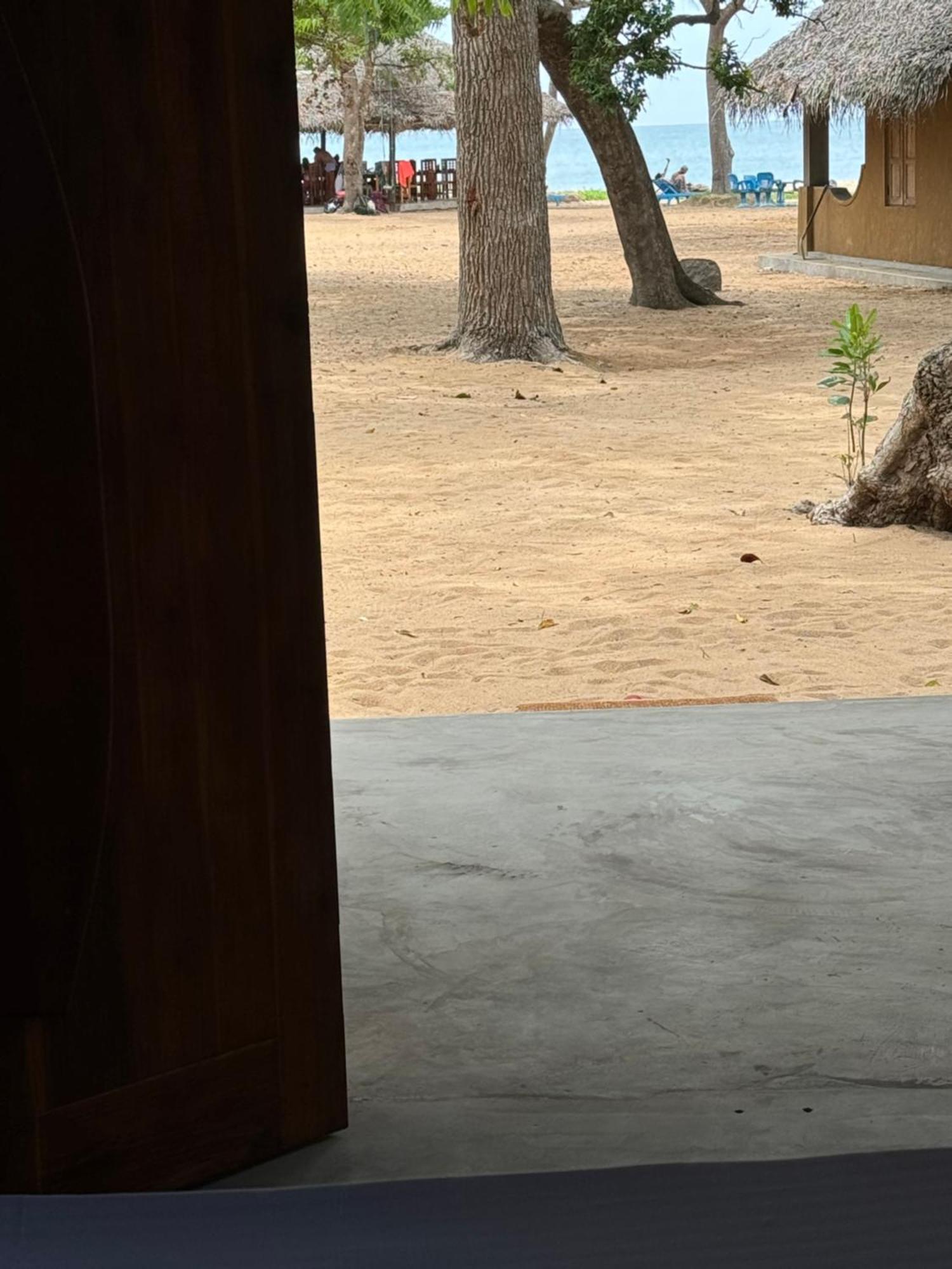 Peanut Farm Surf And Wild Resort - Arugambay Arugam Bay Kültér fotó
