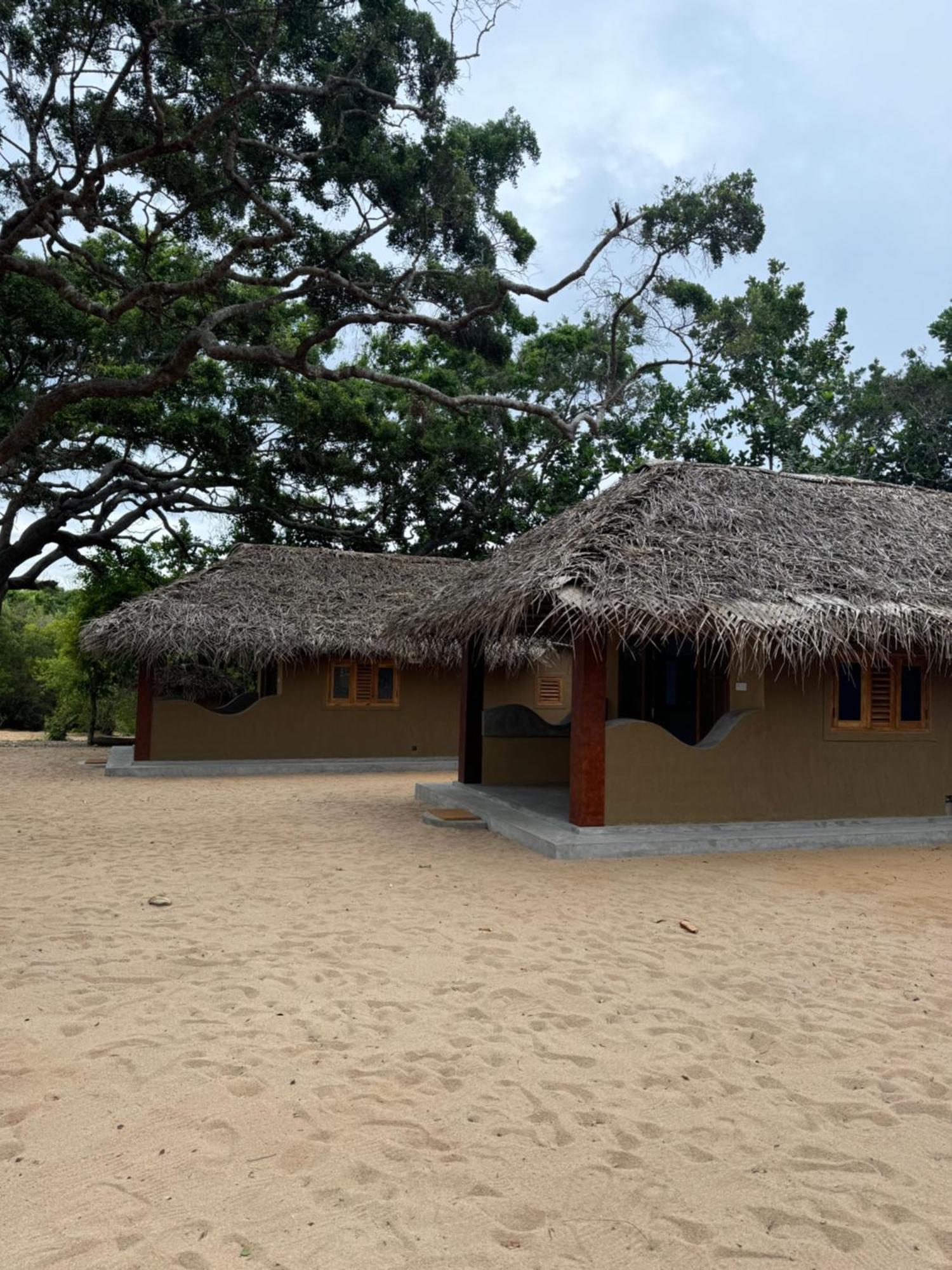 Peanut Farm Surf And Wild Resort - Arugambay Arugam Bay Kültér fotó